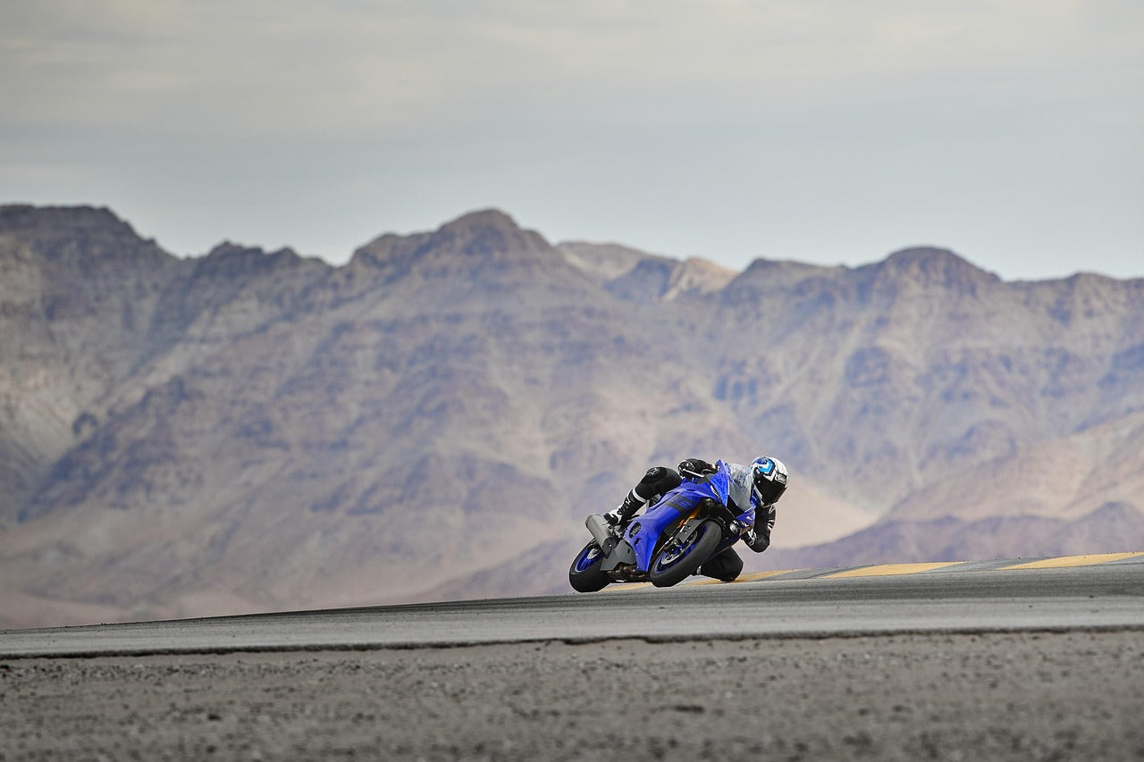 Luxury Togo Pink Handbag 30