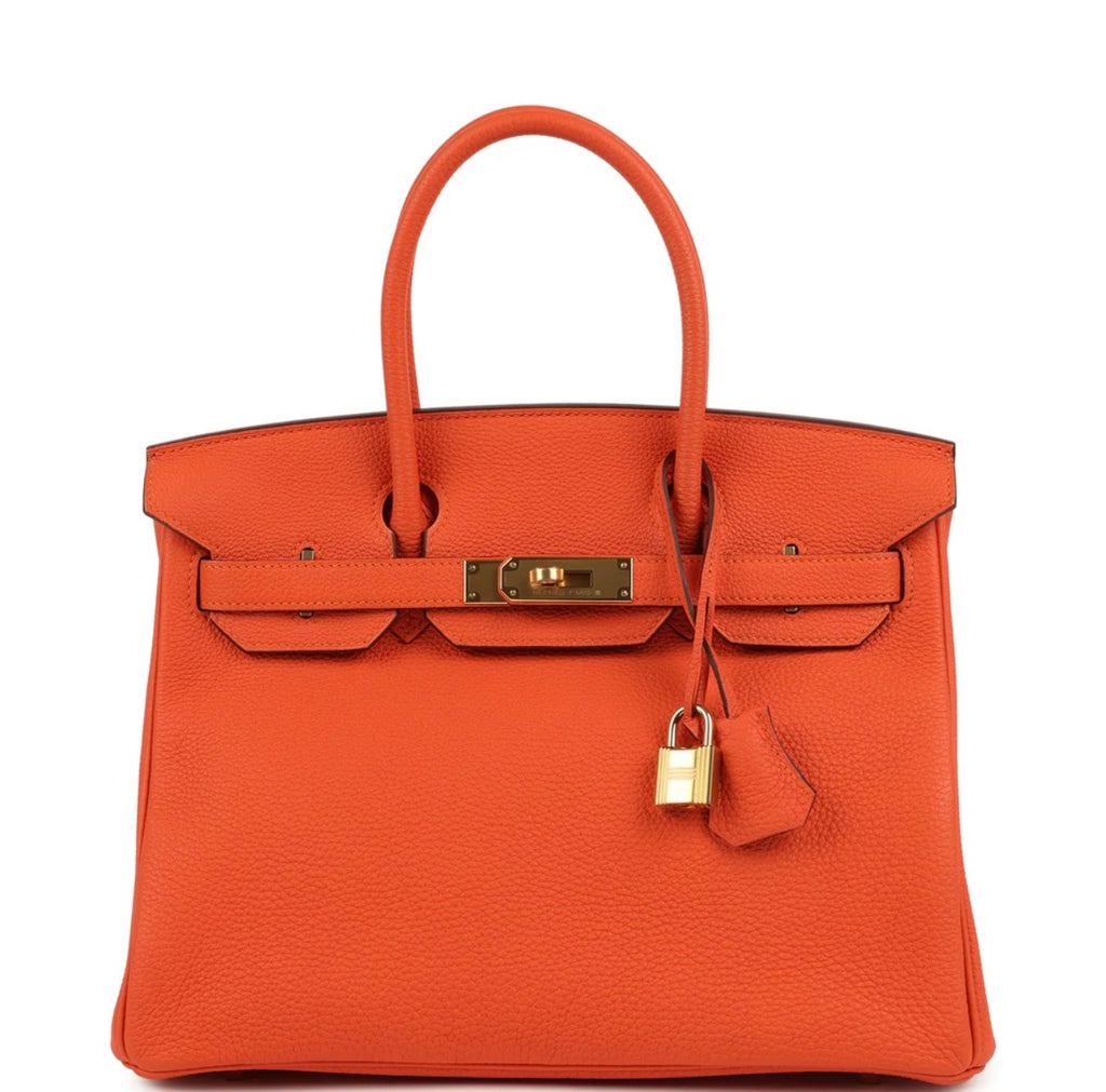 Luxury Togo Orange Handbag 30